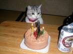 Happy B day.jpg