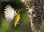 Feeding time.jpeg
