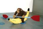 1711_rowingmonkey.jpg