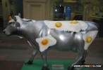 crazy_cows2.jpg