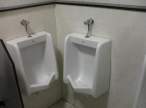 Dual Urinals.jpg