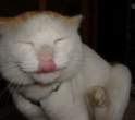 Lick.jpg