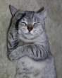 Sleep.jpg