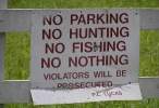 No Nothing!.jpg