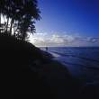 Walk in paradise.jpg