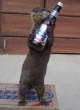 Bud.jpg