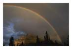 Rainbow.jpg