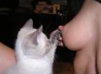 Kitty and Boobs [18+].jpg