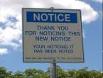 Thank You For Noticing.jpg