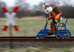 Wabbit on the loose.jpg