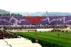 fiorentina%20tifo.jpg