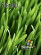 [1707]w411y_XP_Grass_Screenshot.gif