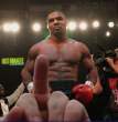 Boxer Flip Off.jpg