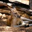 Relaxing.jpg