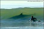 surfer.jpg