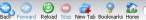 Firefox.jpeg