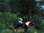ScreenShot6.jpg