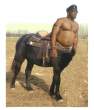 Centaur.jpg