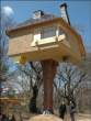 Best-Treehouse.jpg
