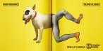 Yellow Pages.jpg