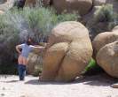 Asses [18+].jpg