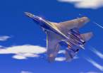 Su-27_gold2_big.jpg