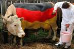 Go Germany.jpg