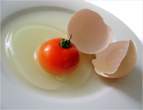 Tomato.jpg