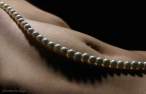 Pearls [18+].jpg