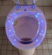 Fancy toilet.jpg
