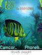 divers delight.jpeg