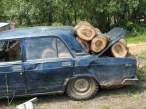 Logs.jpg