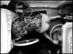 Wash [18+].jpg