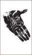 Hand.jpg