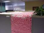 Office prank.jpg