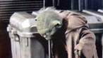 Poor yoda.jpg