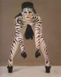 Zebra.jpg