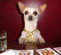 Gimme my cards.jpg