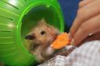 Feeding.jpg
