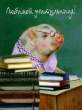 Pig.jpg