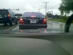 License.jpg