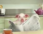 Pig.jpg