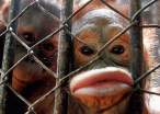 Lips.jpg