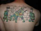 Turtles.jpg