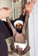 babyosama.JPG