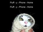 fluffy-phone-home.jpg