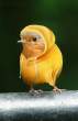 Bad weather outfit.jpg