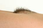 Hair [18+].jpg