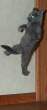 Kick.jpg