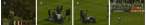 Partizan - Newcastle - Ajmo Milivoje - www.burek.co.yu.jpg